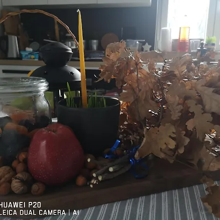 Kuca Za Odmor Kekec Fruska Gora Ferienhaus