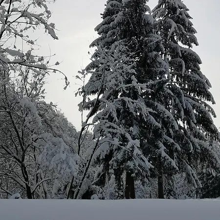 Kuca Za Odmor Kekec Fruska Gora *