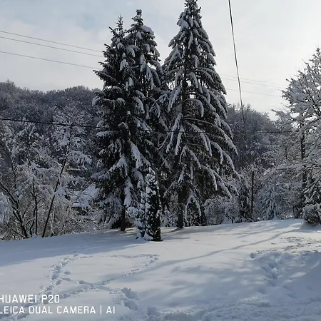 Ferienhaus Kuca Za Odmor Kekec Fruska Gora Beocin