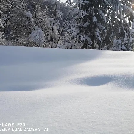 Kuca Za Odmor Kekec Fruska Gora Beocin
