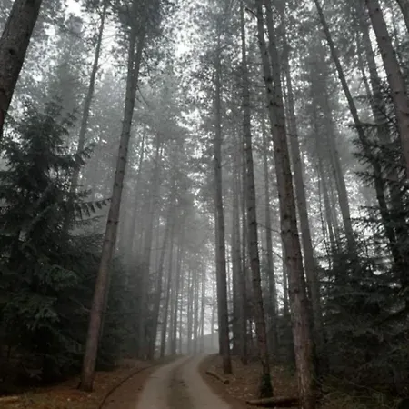 Ferienhaus Kuca Za Odmor Kekec Fruska Gora Beocin