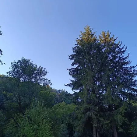 Kuca Za Odmor Kekec Fruska Gora * Beocin