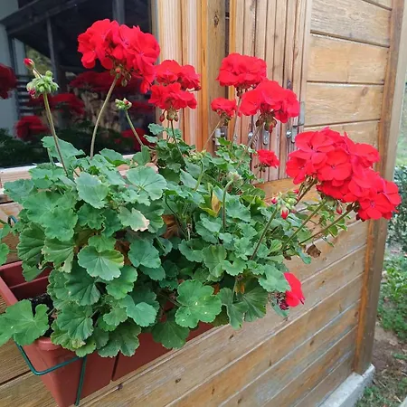 Kuca Za Odmor Kekec Fruska Gora *